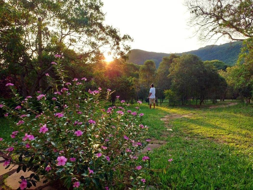 Camping Do Delei เซาโตเมตัสเลตราส ภายนอก รูปภาพ